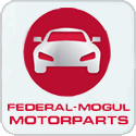 запчасти Federal-Mogul